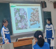 图片10